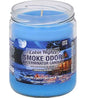 SMOKE ODOR CABIN NIGHTS CANDLE